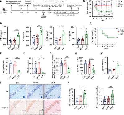 Mast cell activation mediates blood–brain barrier impairment and cognitive dysfunction in septic mice in a histamine-dependent pathway